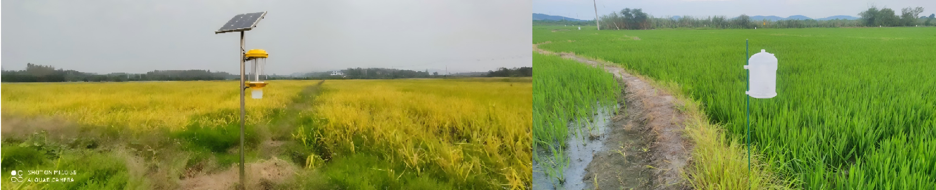 湖北郧尚农业科技有限公司