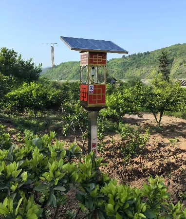 太阳能风吸式杀虫灯